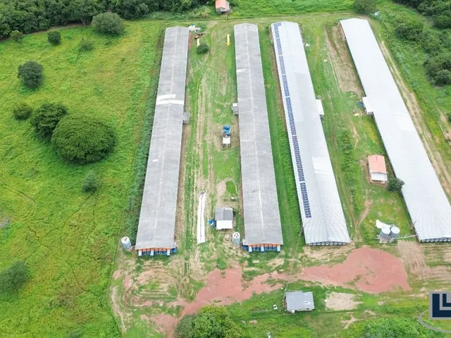 Imagem 14: Sitio com granja de corte para venda na região de Paraiso do Tocantins-TO