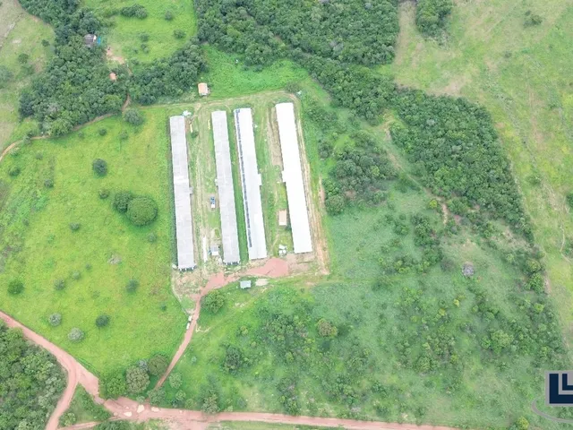 Imagem 7: Sitio com granja de corte para venda na região de Paraiso do Tocantins-TO