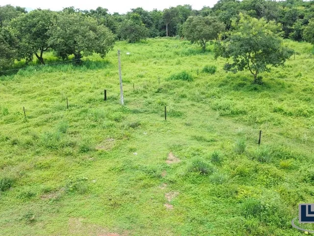 Imagem 2: Sitio com granja de corte para venda na região de Paraiso do Tocantins-TO