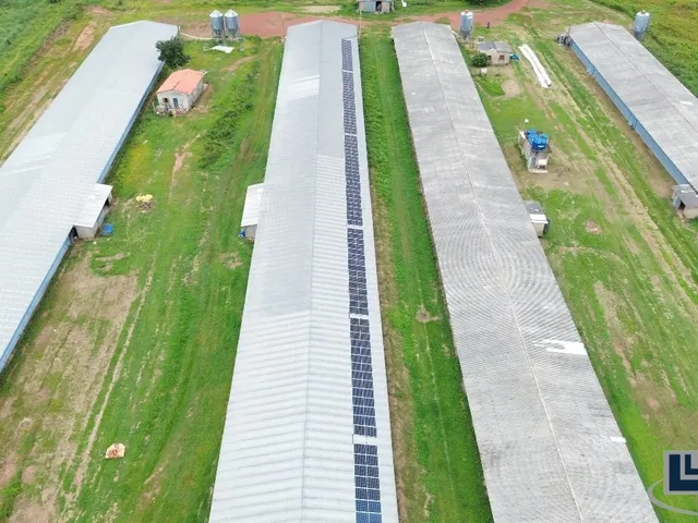 Imagem 3: Sitio com granja de corte para venda na região de Paraiso do Tocantins-TO