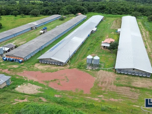 Imagem 4: Sitio com granja de corte para venda na região de Paraiso do Tocantins-TO