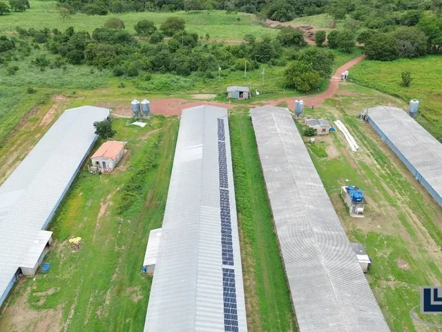 Imagem 10: Sitio com granja de corte para venda na região de Paraiso do Tocantins-TO