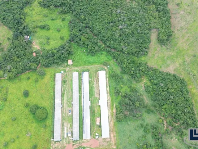 Imagem 15: Sitio com granja de corte para venda na região de Paraiso do Tocantins-TO
