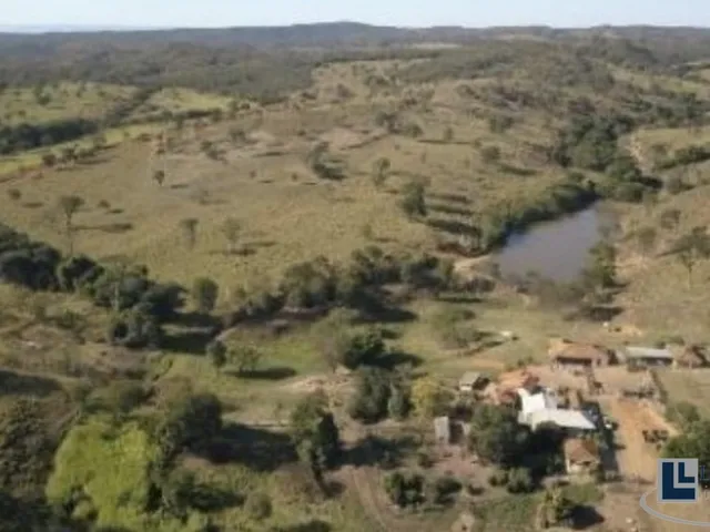 Imagem 4: Excelente fazenda tripla aptidao para venda em Curvelo-MG com 536 hectares na pecuária