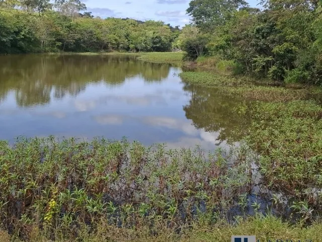 Imagem 12: Excelente fazenda tripla aptidao para venda em Curvelo-MG com 536 hectares na pecuária