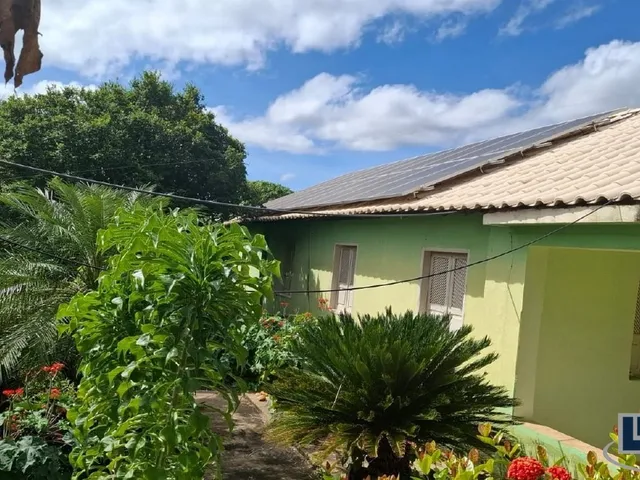 Imagem 8: Excelente fazenda tripla aptidao para venda em Curvelo-MG com 536 hectares na pecuária