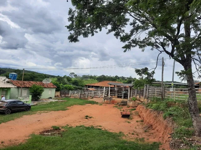 Imagem 14: Excelente fazenda tripla aptidao para venda em Curvelo-MG com 536 hectares na pecuária