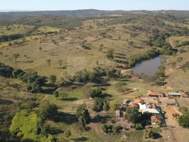 Imagem 13: Excelente fazenda tripla aptidao para venda em Curvelo-MG com 536 hectares na pecuária