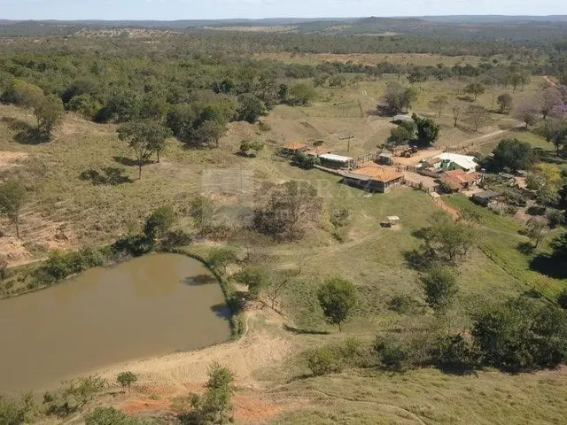 Imagem 6: Excelente fazenda tripla aptidao para venda em Curvelo-MG com 536 hectares na pecuária