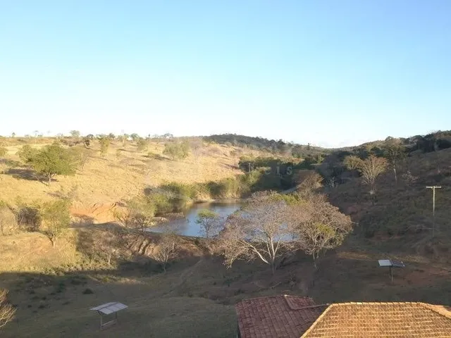 Imagem 15: Excelente fazenda tripla aptidao para venda em Curvelo-MG com 536 hectares na pecuária