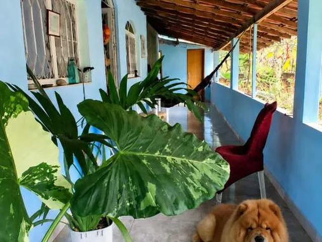 Imagem 11: Sítio para Venda em Rio Bonito, Sambê, 3 dormitórios, 3 suítes, 2 banheiros, 1 vaga