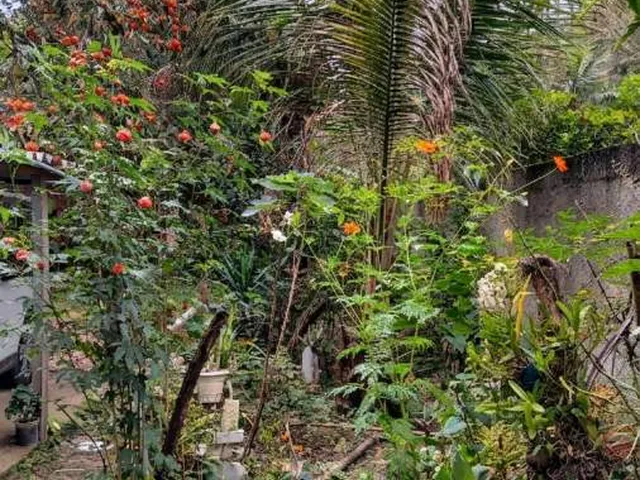 Imagem 4: Sítio para Venda em Rio Bonito, Sambê, 3 dormitórios, 3 suítes, 2 banheiros, 1 vaga
