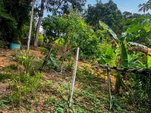 Imagem 5: Sítio para Venda em Rio Bonito, Sambê, 3 dormitórios, 3 suítes, 2 banheiros, 1 vaga