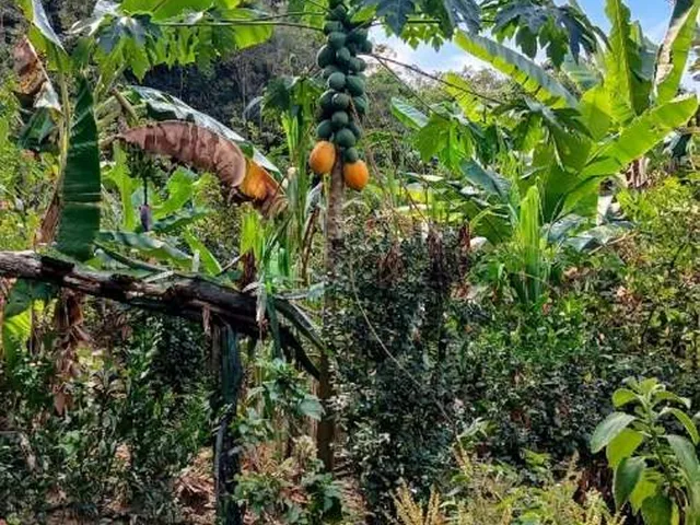 Imagem 8: Sítio para Venda em Rio Bonito, Sambê, 3 dormitórios, 3 suítes, 2 banheiros, 1 vaga