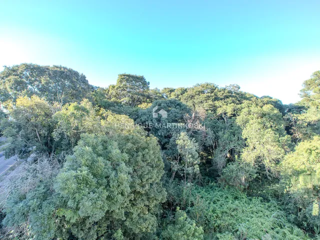 Imagem 7: Duplex Reformado com Terraço e Vista para o Bosque no Ecoville