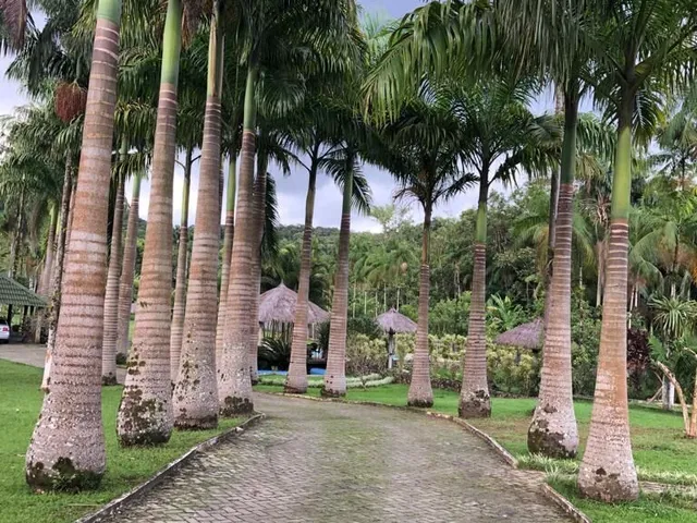 Imagem 9: Chácara à venda no bairro Rio Sagrado - Morretes/PR