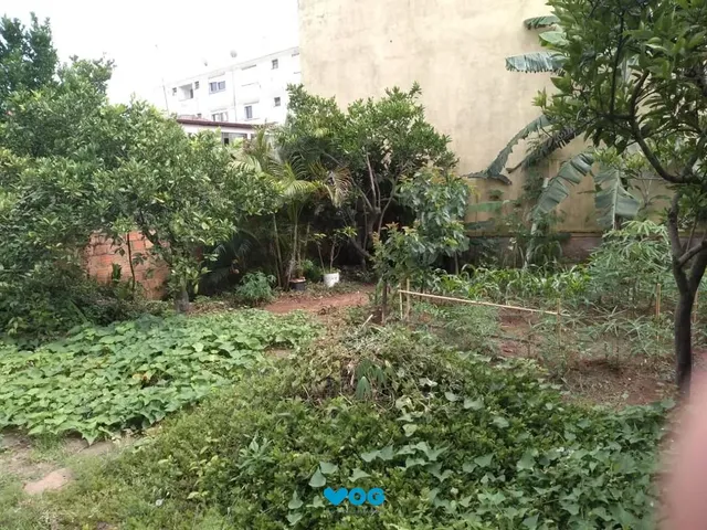 Imagem: Terreno à venda Marechal Rondon Canoas/RS