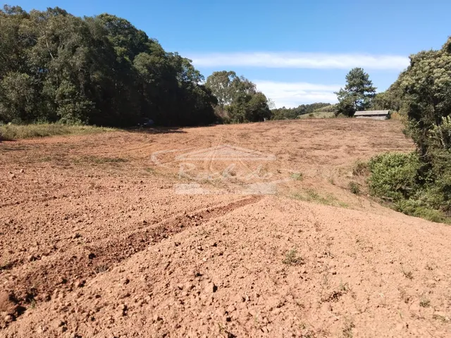 Imagem 2: Sítio à venda, CACHOEIRA DO IPENEMA, QUITANDINHA - PR