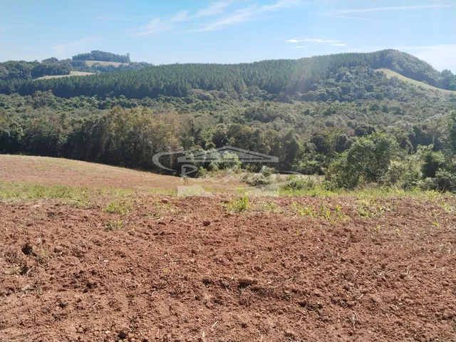 Imagem 6: Sítio à venda, CACHOEIRA DO IPENEMA, QUITANDINHA - PR