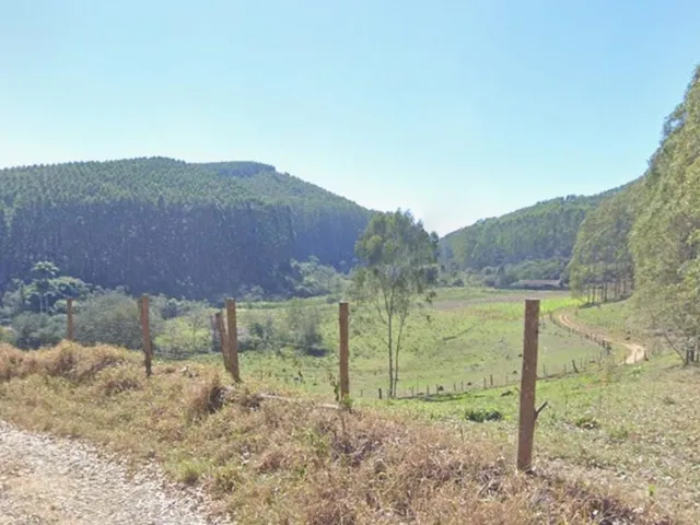 Imagem 5: FLORESTA DE EUCALIPTO A VENDA EM PARAÍBUNA NA REGIÃO DO VALE DO PARAÍBA* ?? ÁREA