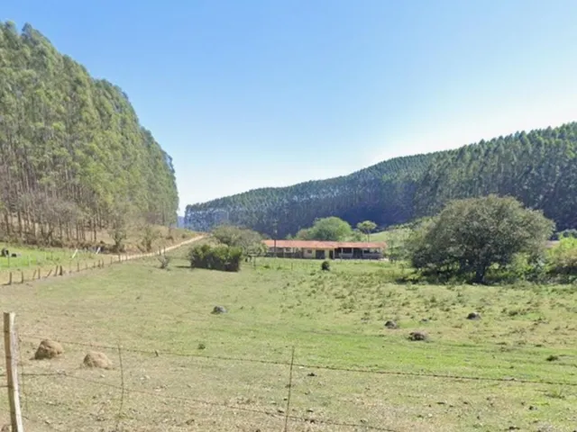 Imagem 9: FLORESTA DE EUCALIPTO A VENDA EM PARAÍBUNA NA REGIÃO DO VALE DO PARAÍBA* ?? ÁREA