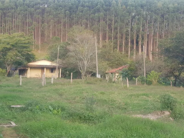 Imagem 6: FLORESTA DE EUCALIPTO A VENDA EM PARAÍBUNA NA REGIÃO DO VALE DO PARAÍBA* ?? ÁREA