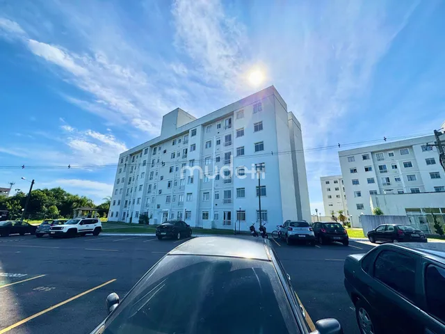 Imagem 10: Apartamento em Iná, São José dos Pinhais/PR