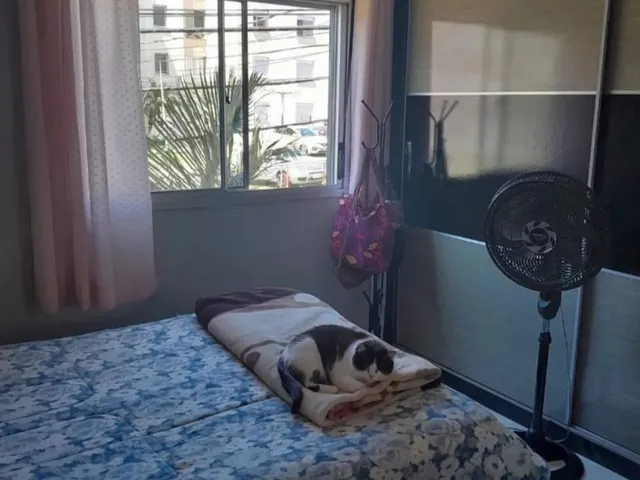 Imagem 12: APARTAMENTO - PORTO ALEGRE