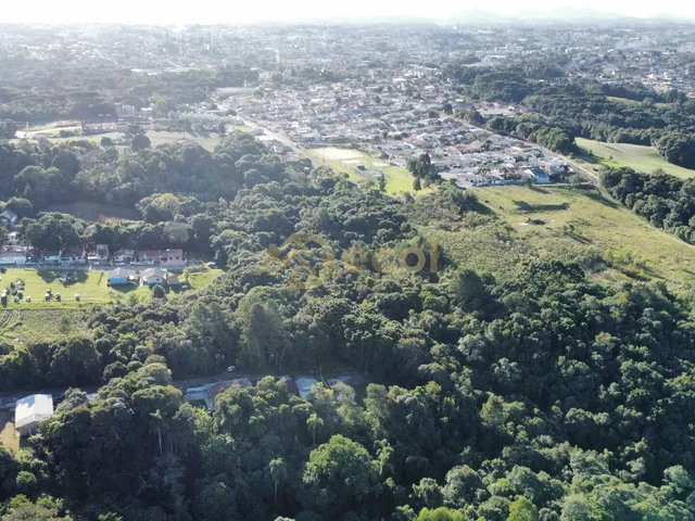Imagem 4: Chácara no Partenope à apenas 3km do centro de Campo Largo