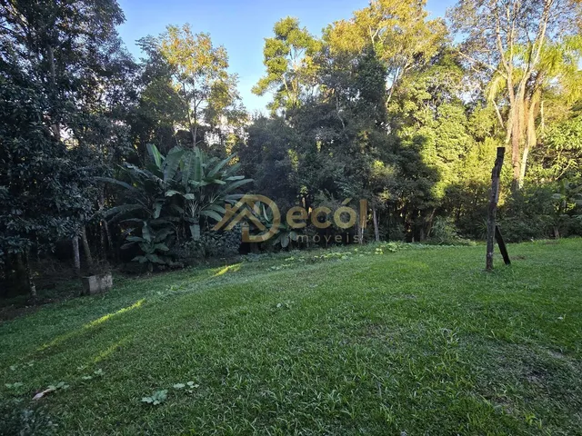 Imagem 15: Chácara no Partenope à apenas 3km do centro de Campo Largo