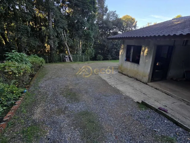 Imagem 6: Chácara no Partenope à apenas 3km do centro de Campo Largo