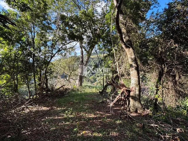 Imagem 3: Terreno 35.000m² com vista para o mar em Pau D Oleo, Guarapari-ES, platô pronto e