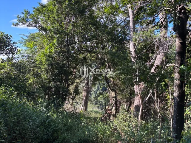 Imagem 16: Terreno 35.000m² com vista para o mar em Pau D Oleo, Guarapari-ES, platô pronto e