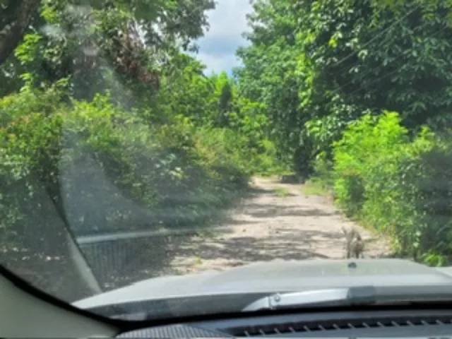 Imagem 15: Terreno de 2 hectares à venda em Igarassu-PE, no bairro Santa Maria: oportunidade única!