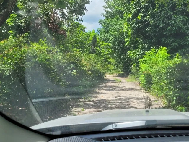 Imagem 13: Terreno de 2 hectares à venda em Igarassu-PE, no bairro Santa Maria: oportunidade única!