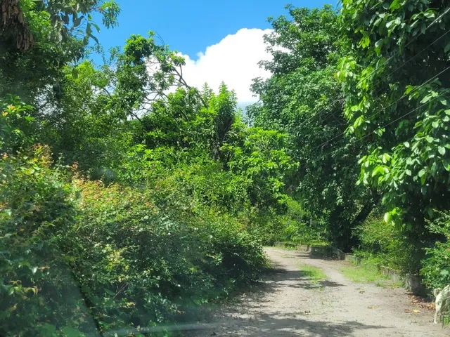 Imagem 6: Terreno de 2 hectares à venda em Igarassu-PE, no bairro Santa Maria: oportunidade única!