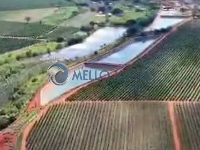 Imagem: Fazenda de café com 475 ha à venda em