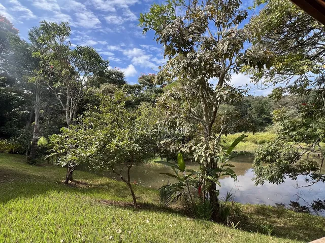 Imagem 7: Condominio Ipé amarelo - Sítio á venda Condominio Ipê Amarelo plano com riacho no