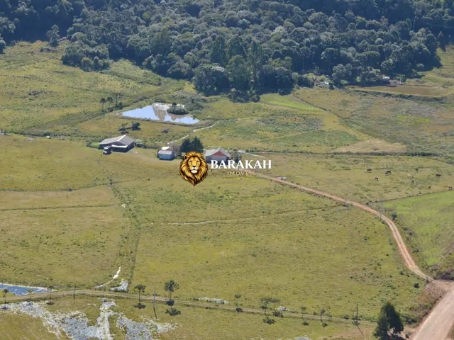 Imagem 5: Fazenda à venda no bairro Lajeado Grande - São Francisco de Paula/RS