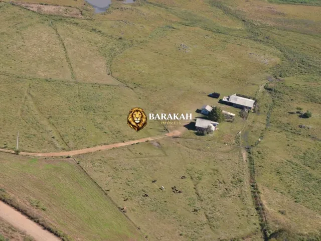 Imagem 3: Fazenda à venda no bairro Lajeado Grande - São Francisco de Paula/RS