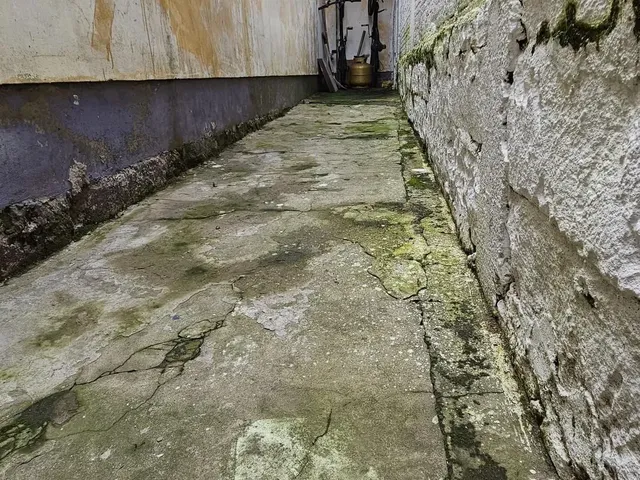 Imagem 16: Casa à Venda em Bairro Tranquilo