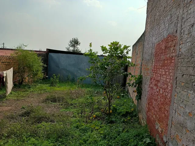Imagem 2: Casa à Venda na Cidade Alta de Alegrete/RS