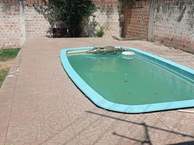 Imagem 5: Casa À Venda com 4 Dormitórios, Pátio e Garagem