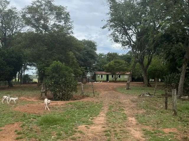 Imagem: Chacará para venda em Manoel Viana/ RS