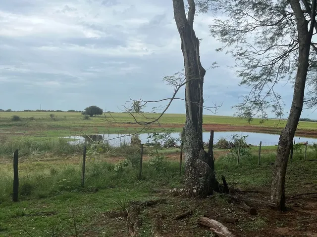 Imagem 2: Chacará para venda em Manoel Viana/ RS