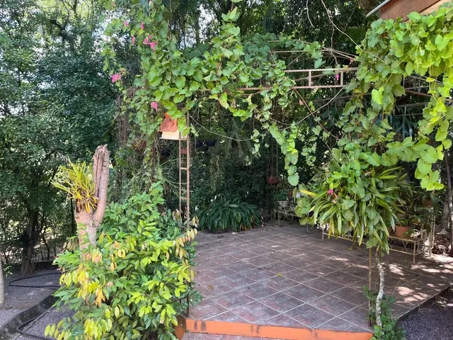 Imagem 7: Linda chácara à venda, local alto, cercada por muito verde e conforto!