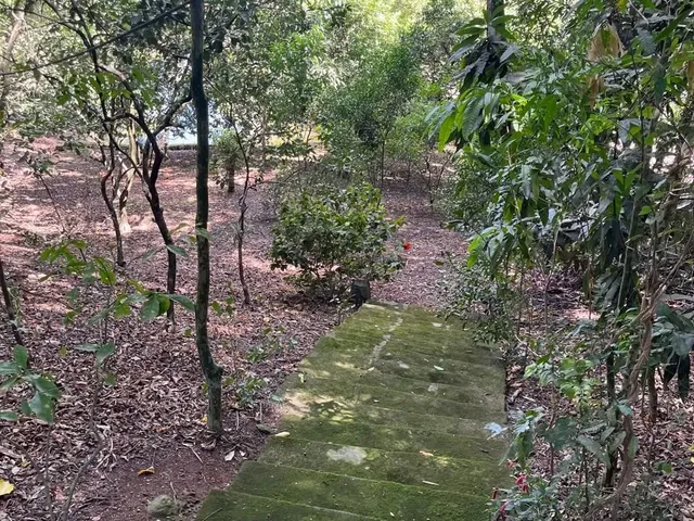 Imagem 15: Linda chácara à venda, local alto, cercada por muito verde e conforto!