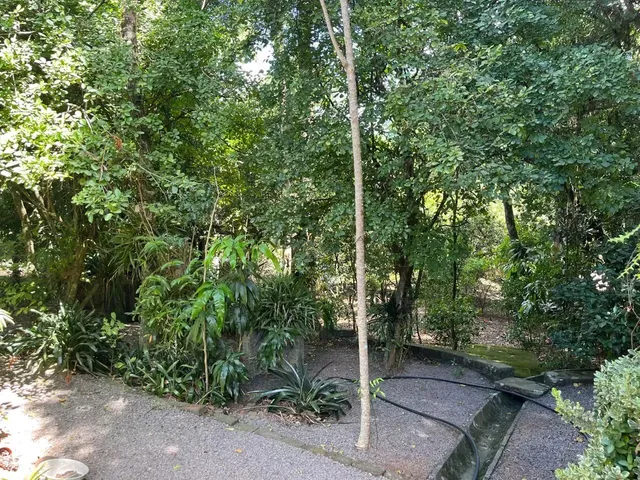 Imagem 14: Linda chácara à venda, local alto, cercada por muito verde e conforto!