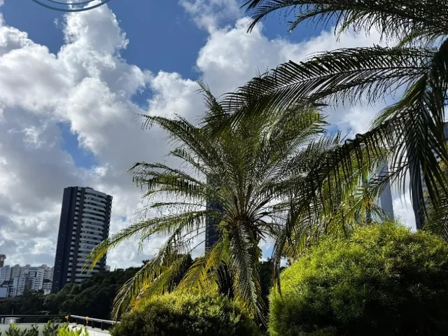 Imagem 15: APARTAMENTO À VENDA NO HORTO VERNISSAGE COM 138M², E NASCENTE TOTAL!