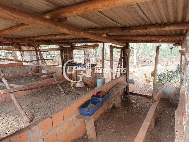 Imagem 8: Chácara 7 Hectares com Poço-artesiano e Casa Grande